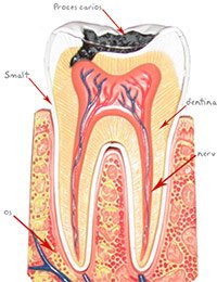 CMI Dr. Neagoe Daniela - centrul stomatologic