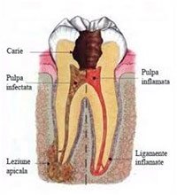 CMI Dr. Neagoe Daniela - centrul stomatologic