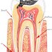 CMI Dr. Neagoe Daniela - centrul stomatologic