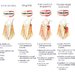 CMI Dr. Neagoe Daniela - centrul stomatologic